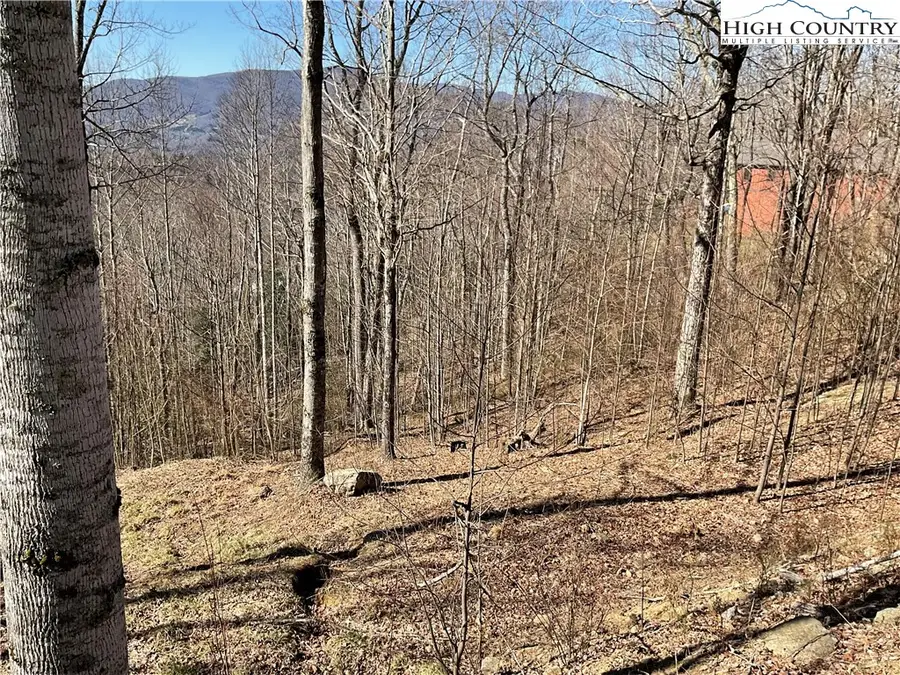 TBD Lot 8 Heritage Ridge Drive, Elk Park, NC 28622 - #2