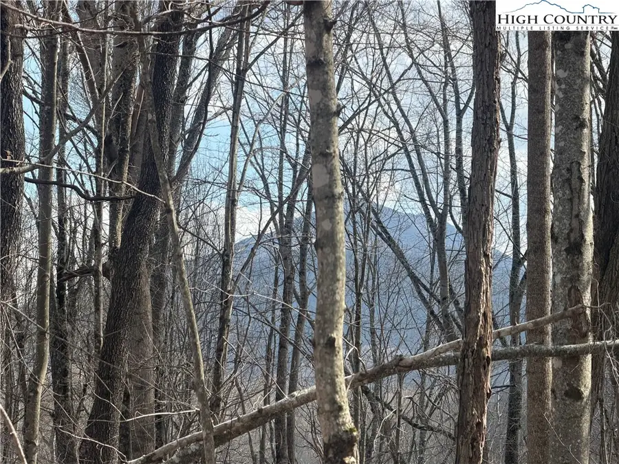 TBD  Lot 18 Carefree Cove Road, Zionville, NC 28698 - #3