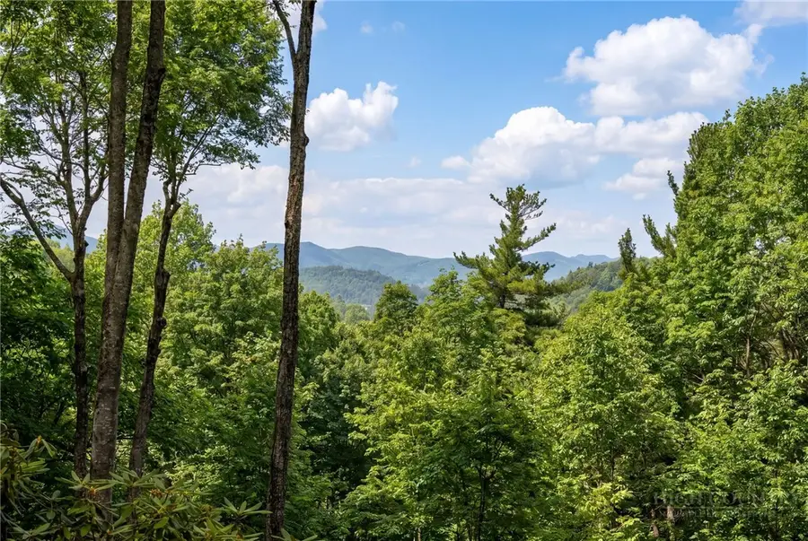 725 Fox Den Road, Blowing Rock, NC 28605 - #2
