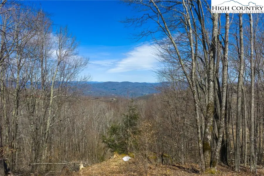 Lot 64 Eagle Pass, Banner Elk, NC 28604 - #2