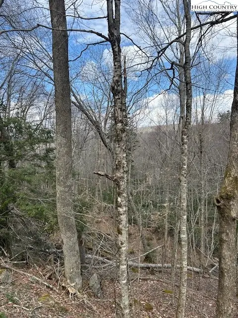 116 E Blueberry Lane, Beech Mountain, NC 28604 - #1