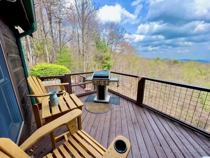 3673 Elk Ridge Road, Ferguson, NC 28624 - #2