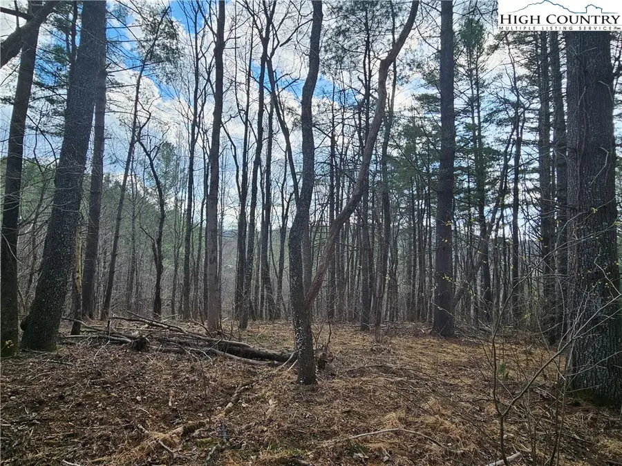 TBD Panorama Drive, Todd, NC 28684 - #3