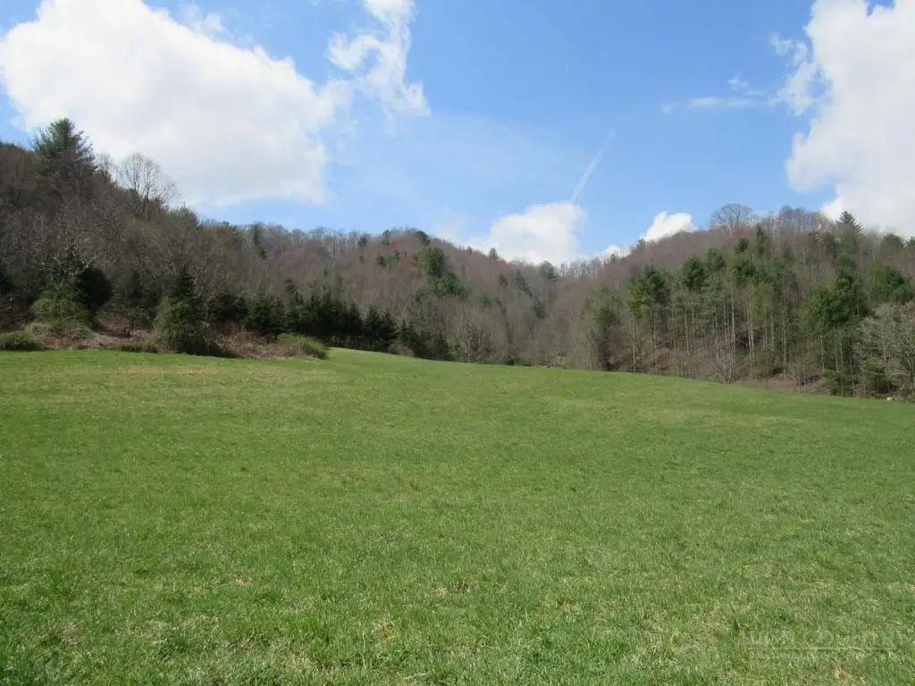 TBD Big Laurel Road, Creston, NC 28615 - #1
