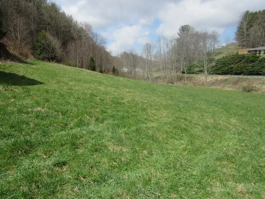 TBD Big Laurel Road, Creston, NC 28615 - #3
