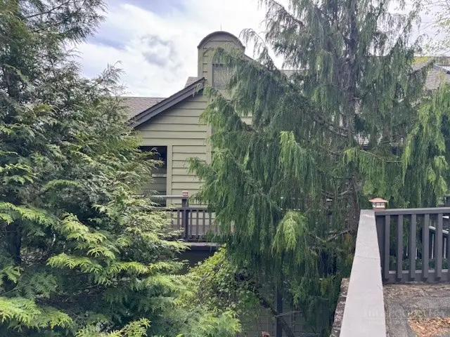 1073 Wonderland Trail #C, Blowing Rock, NC 28605 - #1