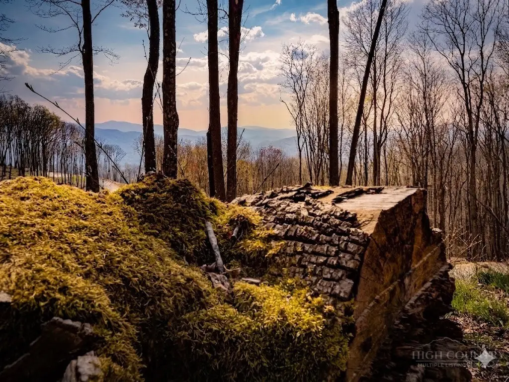 S-92 Talon Trail, Banner Elk, NC 28604 - #1