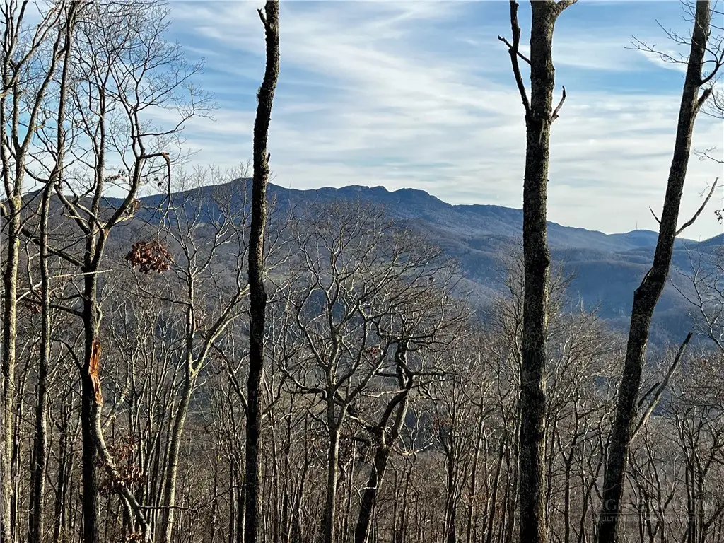 Lot 3 Chappell Farm Road, Banner Elk, NC 28604 - #1