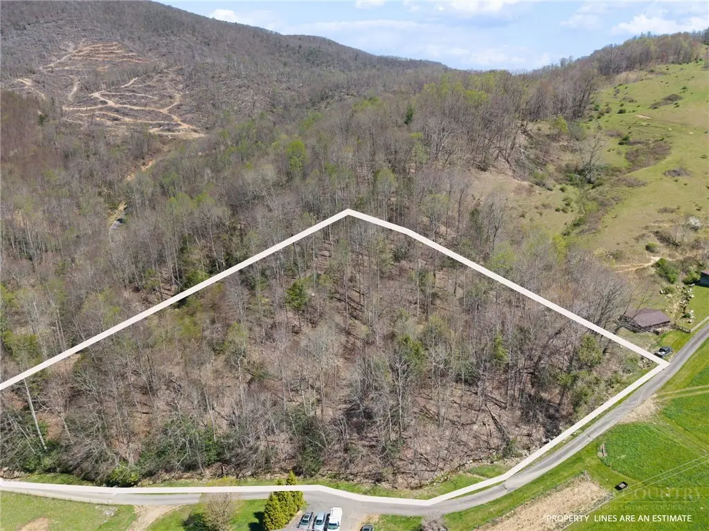 157 Oso Drive, Vilas, NC 28692 - #1