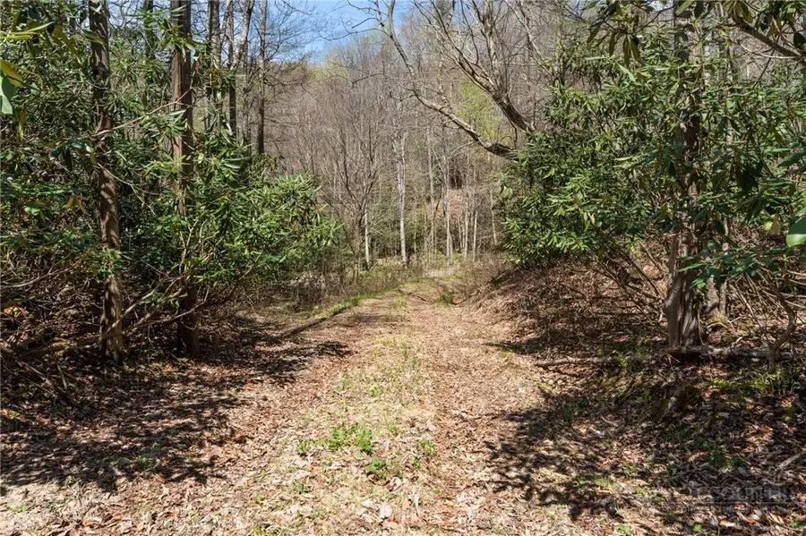 157 Oso Drive, Vilas, NC 28692 - #2
