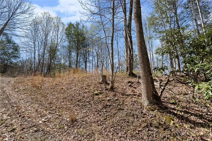 157 Oso Drive, Vilas, NC 28692 - #3
