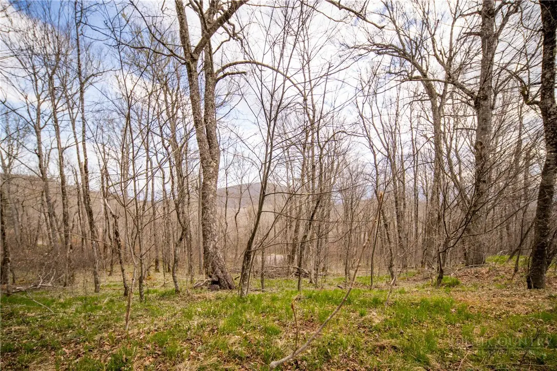 TBD (Lot 4) N Chappell Road, Banner Elk, NC 28604 - #1