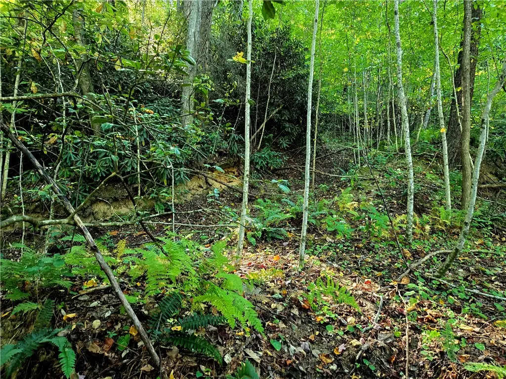 Lot 7 N. Old Nc Hwy 16, Millers Creek, NC 28651 - #1