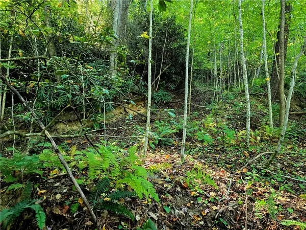 Lot 7 N. Old Nc Hwy 16, Millers Creek, NC 28651