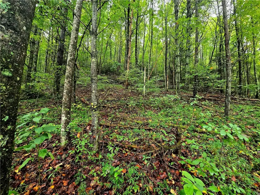 Lot 7 N. Old Nc Hwy 16, Millers Creek, NC 28651 - #2