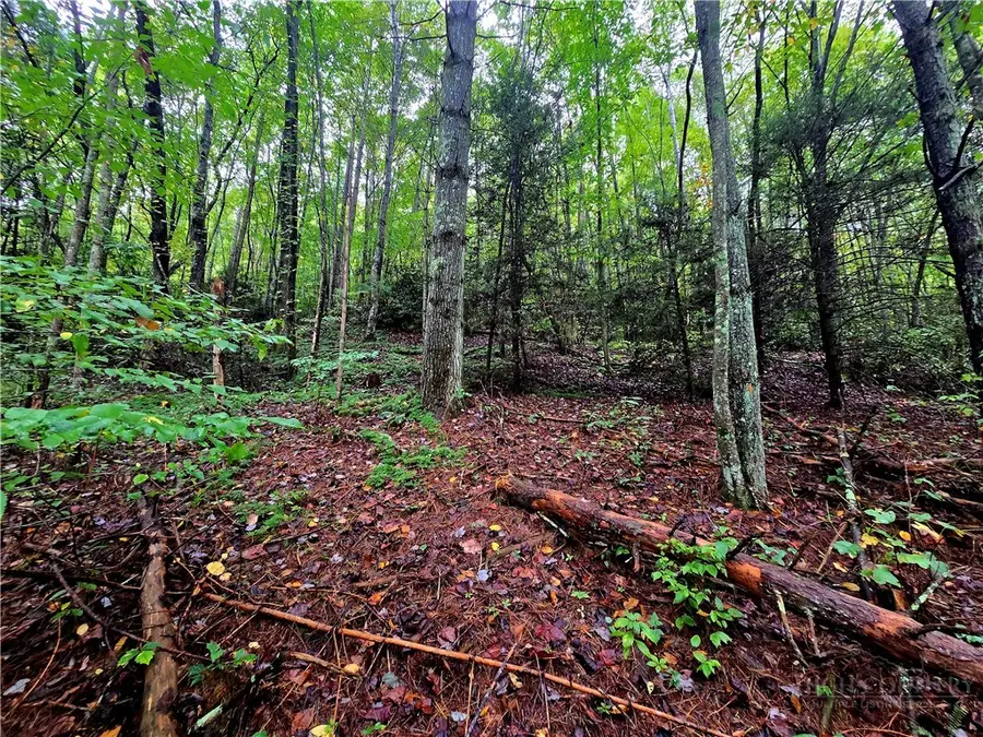 Lot 7 N. Old Nc Hwy 16, Millers Creek, NC 28651 - #3