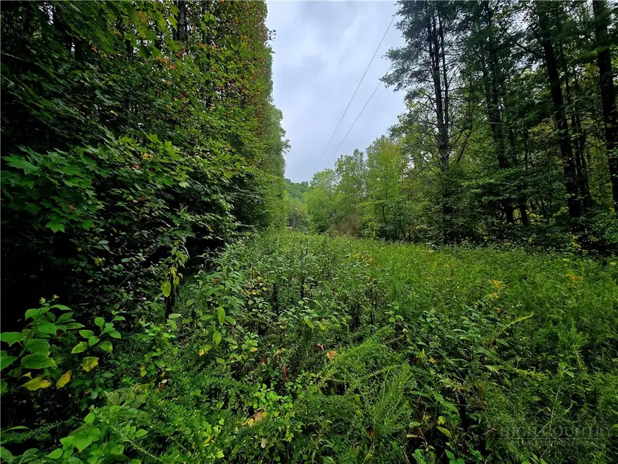 Lot 6 N. Old Nc Hwy 16, Millers Creek, NC 28651 - #2