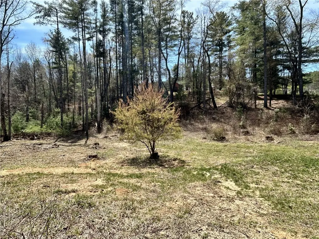 TBD/Lots 4 and 5 Wellington Court, Glade Valley, NC 28627 - #1