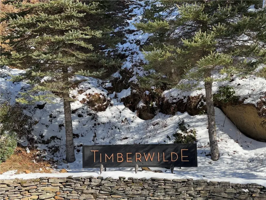 TBD (13 & 14) Timberwilde Drive, Laurel Springs, NC 28644 - #3