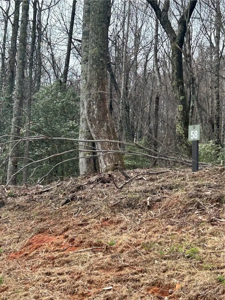 58 Wilderness Reserve Parkway, Deep Gap, NC 28618 - #2