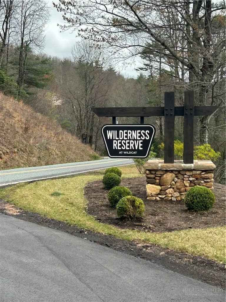 58 Wilderness Reserve Parkway, Deep Gap, NC 28618 - #3