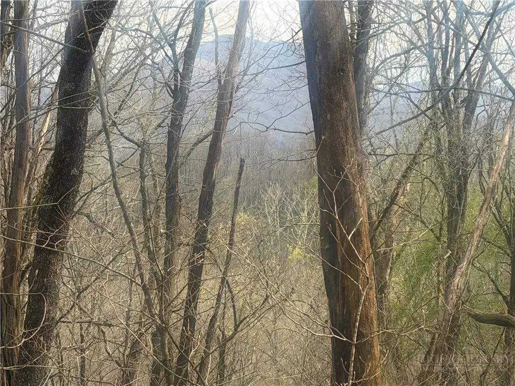 TBD Lot 48 Rainbow Ridge, Zionville, NC 28698 - #1