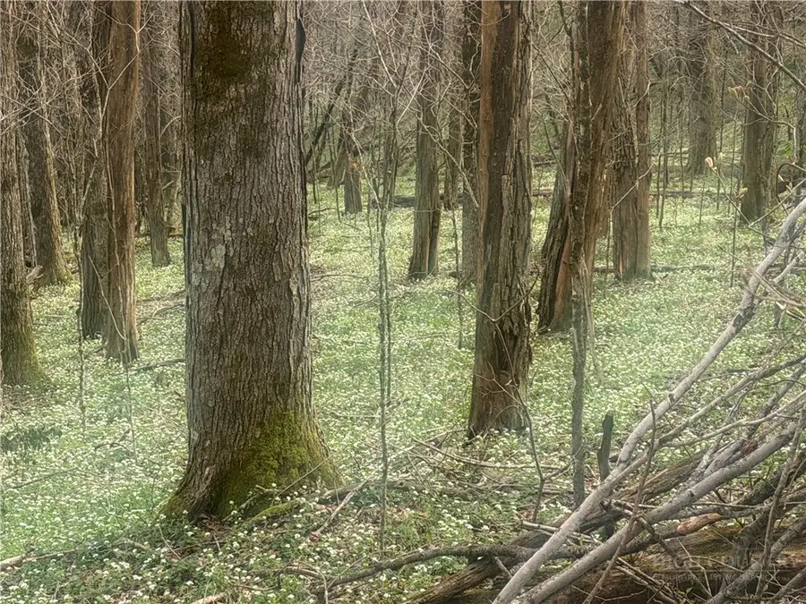 TBD Lot 48 Rainbow Ridge, Zionville, NC 28698 - #3