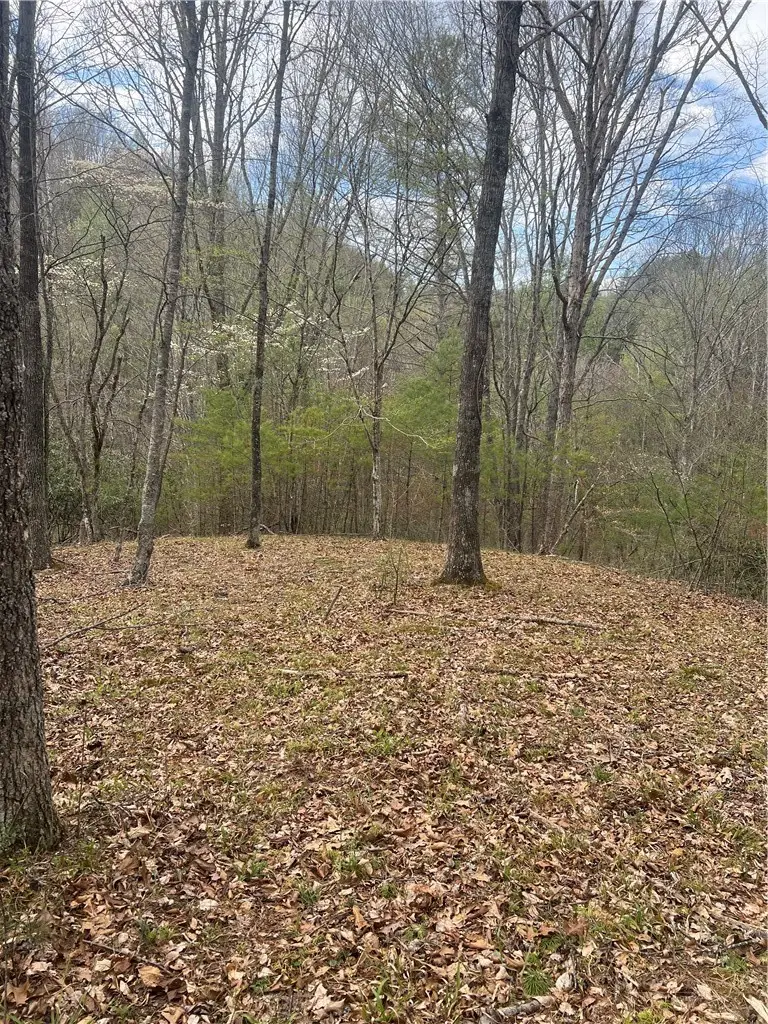 TBD River Bend Hills Road, Crumpler, NC 28617 - #2