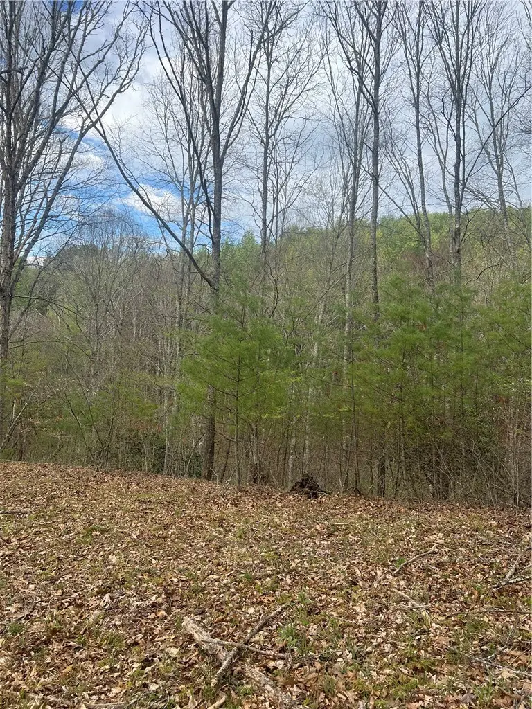 TBD River Bend Hills Road, Crumpler, NC 28617 - #3