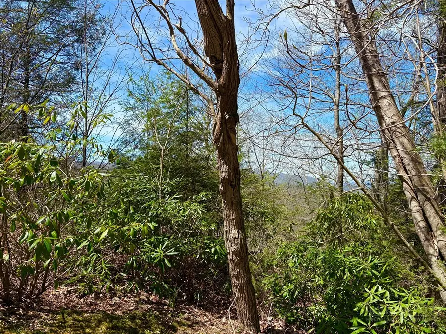 Lot #19 Evergreen, Boone, NC 28607 - #2