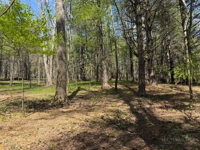 TBD (0.96 Acre) Crestview Drive West, Creston, NC 28615 - #2