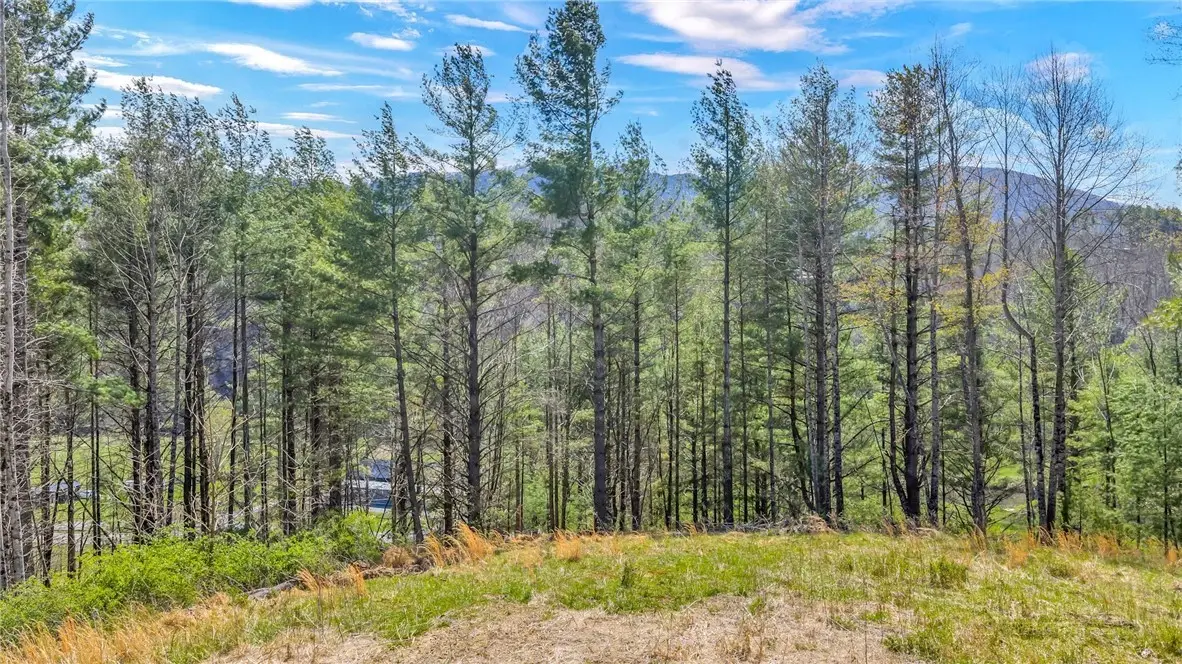 Lot 4 Venue Views Drive, Lansing, NC 28643 - #1