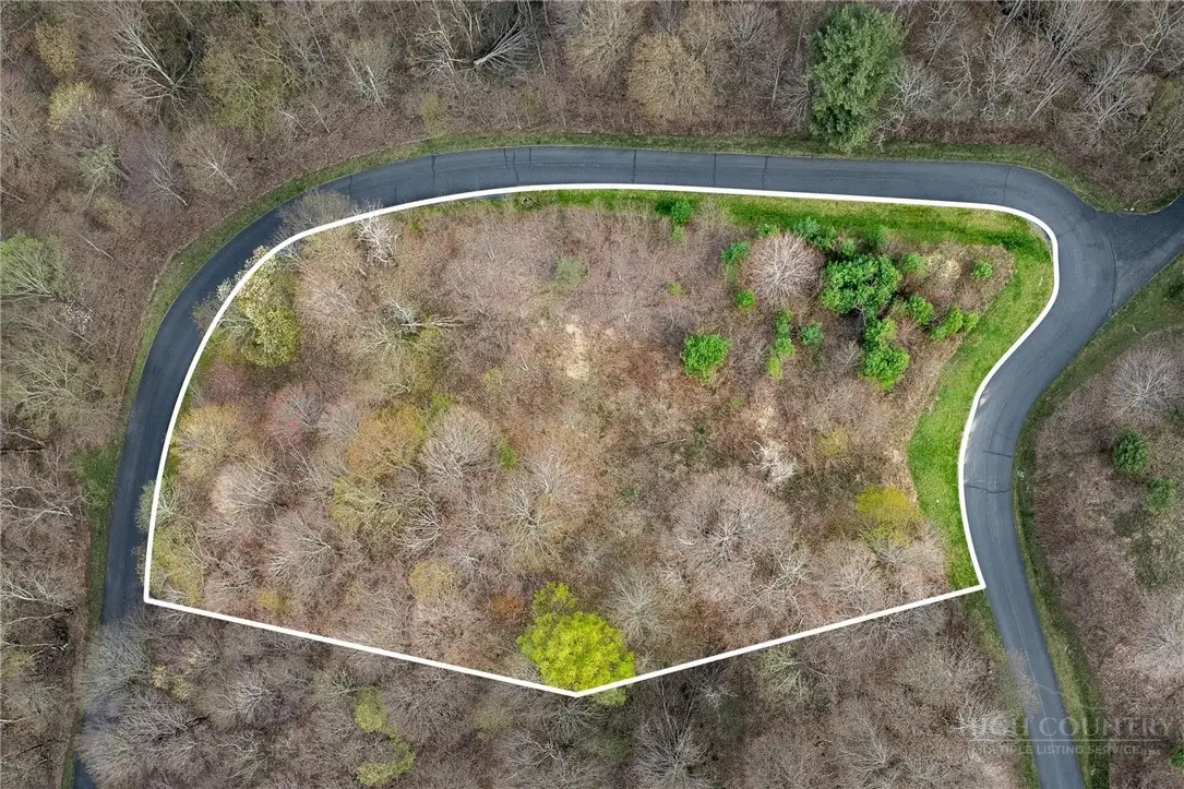 Lot H25 Buffalo Nvno, Zionville, NC 28698 - #1