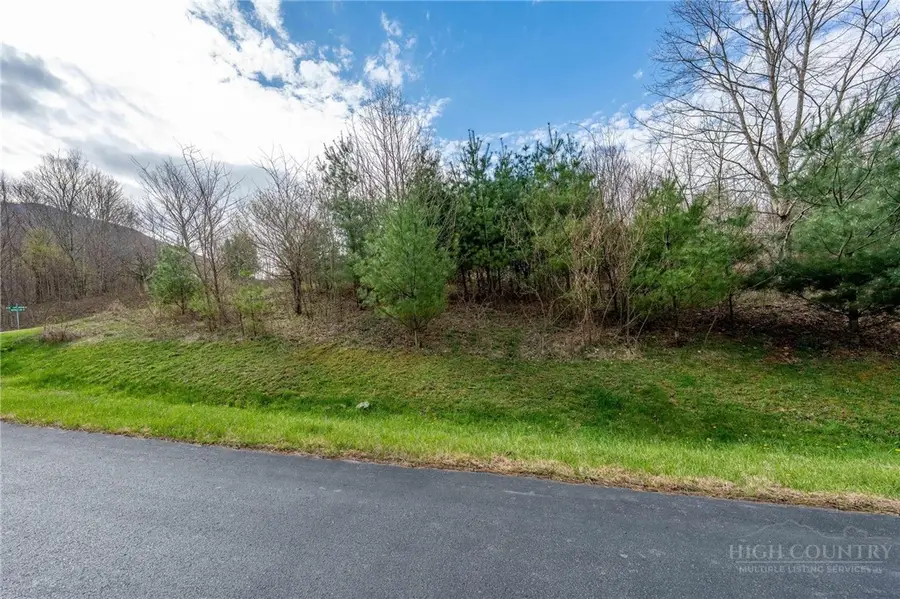Lot H25 Buffalo Nvno, Zionville, NC 28698 - #2