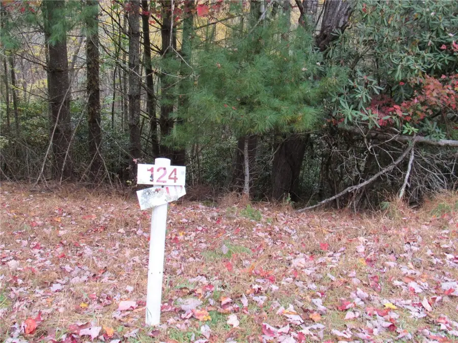 Lot 124 Blue Ridge View, Piney Creek, NC 28663 - #2
