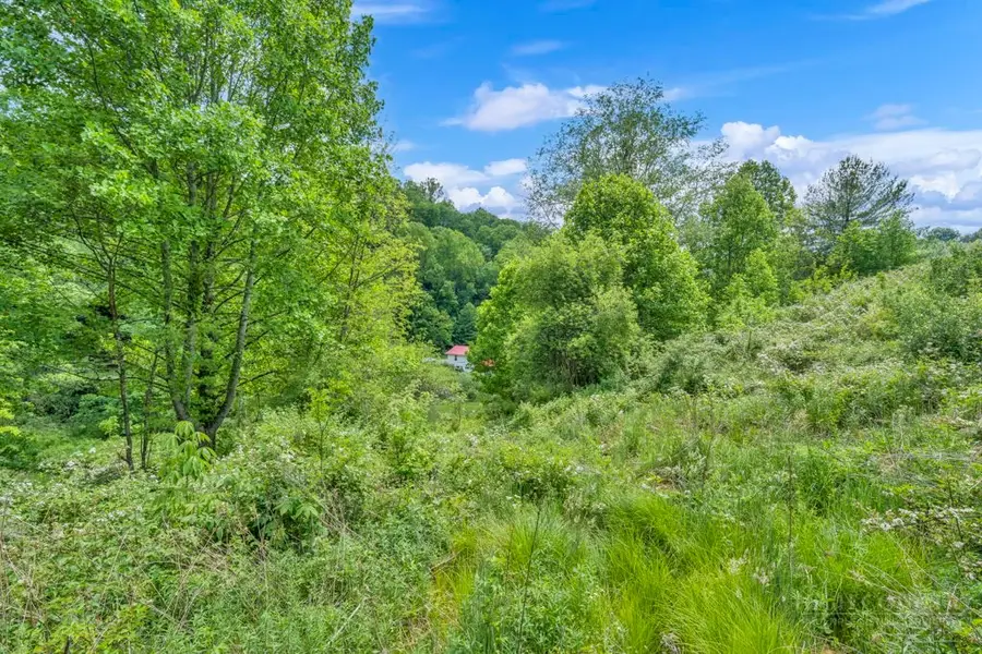 Lot 23/24 Cristina Lane, Vilas, NC 28692 - #2