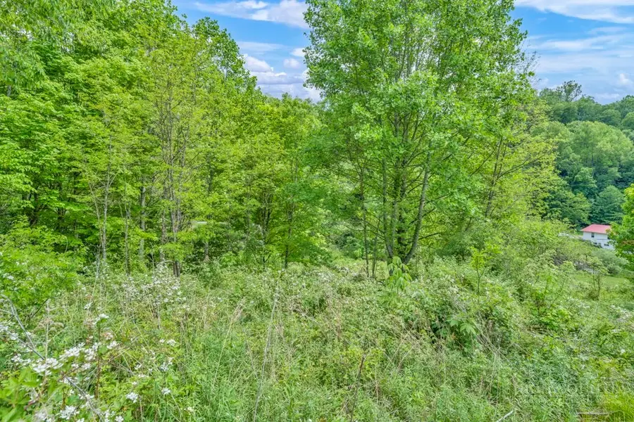Lot 23/24 Cristina Lane, Vilas, NC 28692 - #3