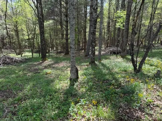 TBD (0.834) Crestview Drive West, Creston, NC 28615 - #1