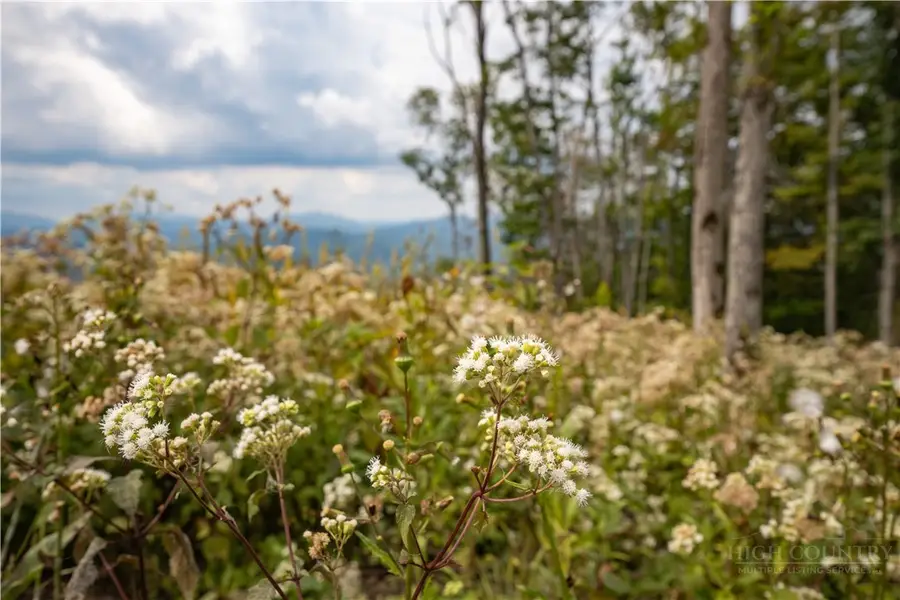 Lot S-127 Silver Eagle Trail, Banner Elk, NC 28604 - #3