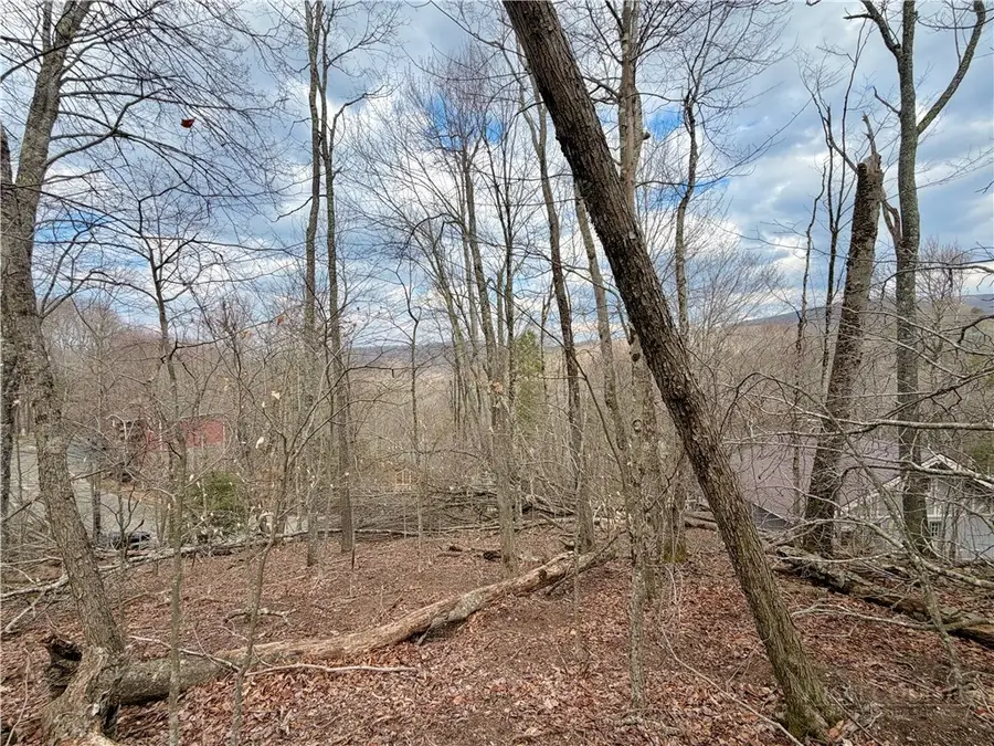 218 Lake Road, Beech Mountain, NC 28604 - #2