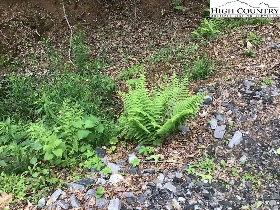 Lot 18 The Peaks Regal Drive, Laurel Springs, NC 28644 - #2