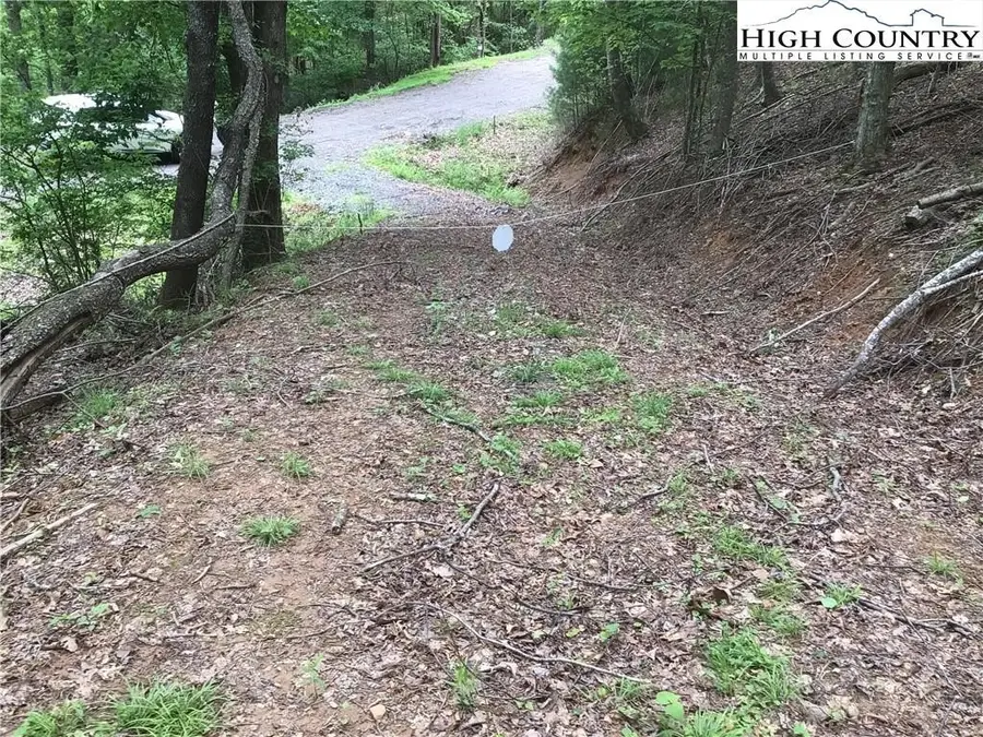 Lot 18 The Peaks Regal Drive, Laurel Springs, NC 28644 - #3