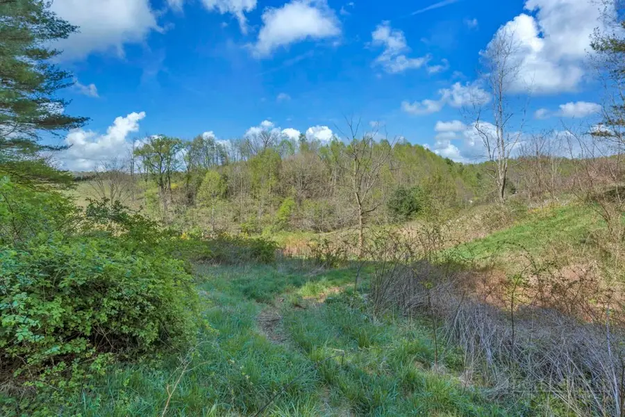 Lot 7 Paradise Valley Estates, Creston, NC 28615 - #3