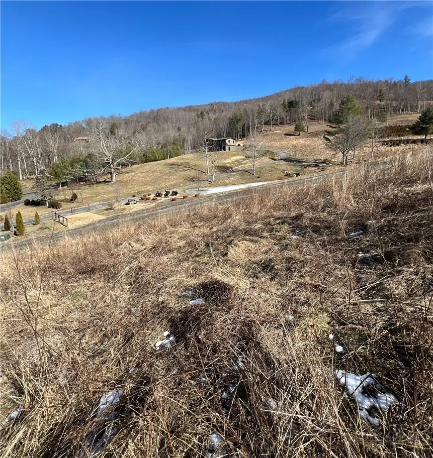 3 Summit View Parkway, Spruce Pine, NC 28777 - #2