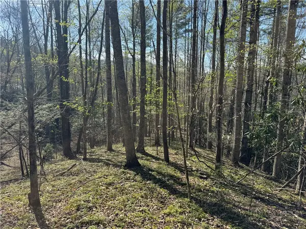 2438 Kellersville Road, Banner Elk, NC 28604