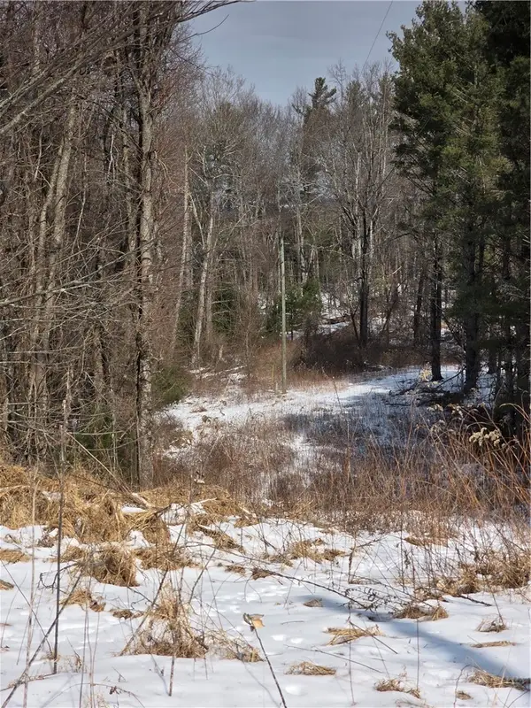 TBD Bennett Lane, Sparta, NC 28627