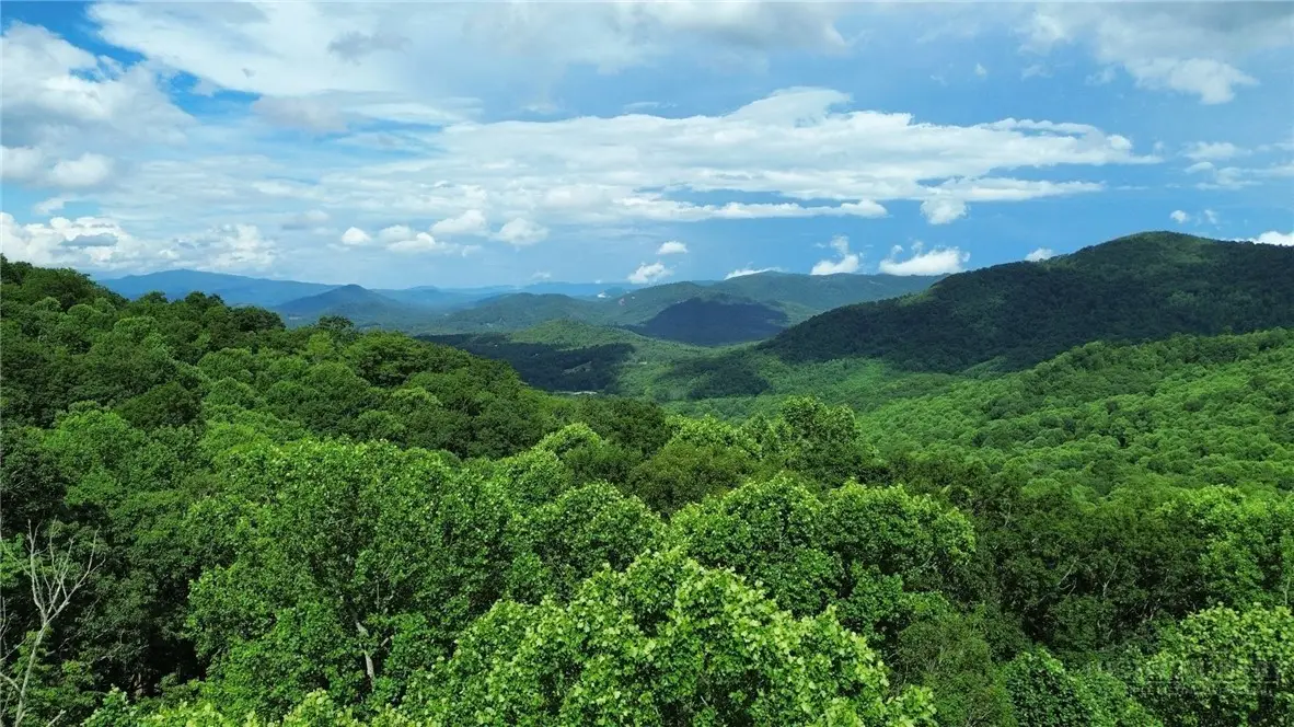 Lot 1 The Cove At Celo Mountain, Burnsville, NC 28714 - #1