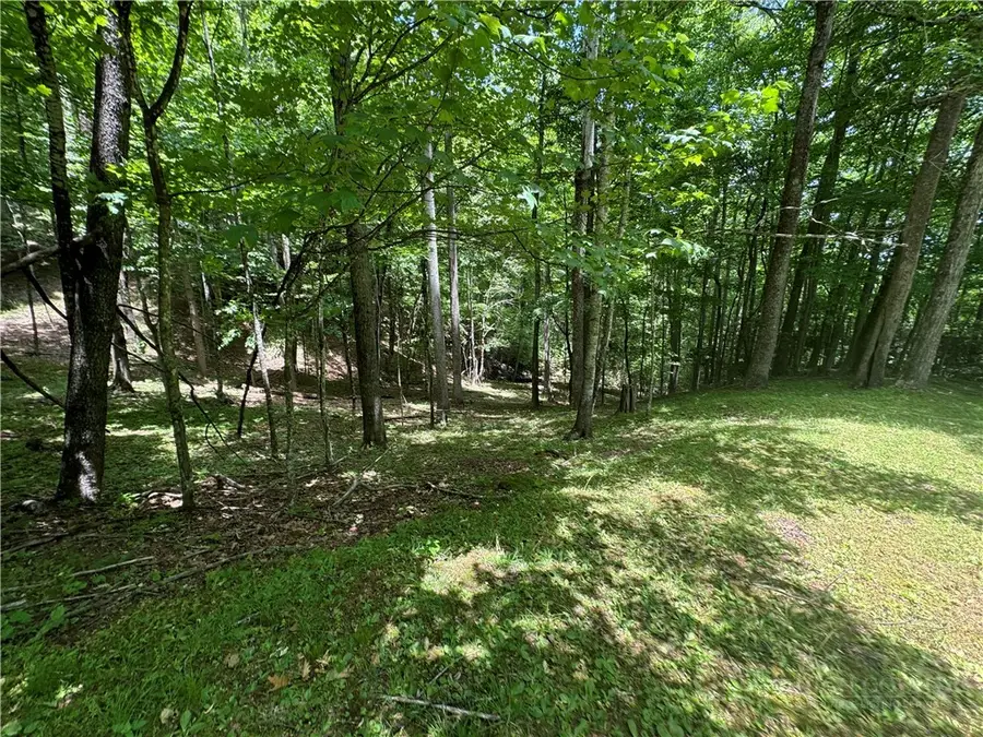 Lot 1 The Cove At Celo Mountain, Burnsville, NC 28714 - #2