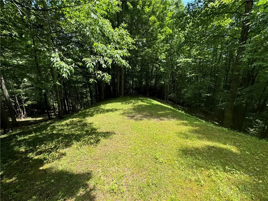 Lot 1 The Cove At Celo Mountain, Burnsville, NC 28714 - #3