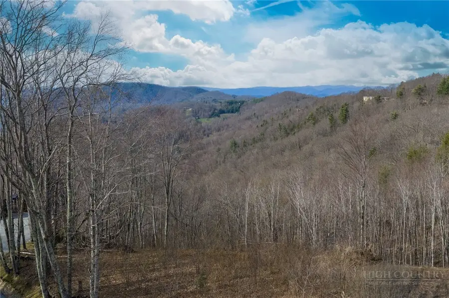 VR-19 Fernwood Trail, Beech Mountain, NC 28604 - #3